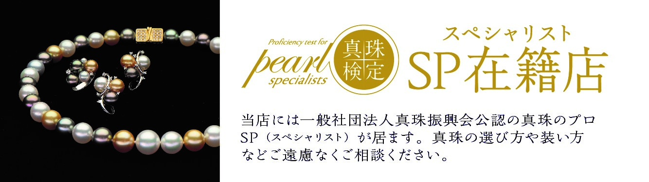 シニアアドバイザー